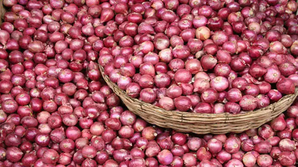 Department of Consumer Affairs offered onions from buffer stock by Nafed at Rs 21 per kg- India TV Paisa