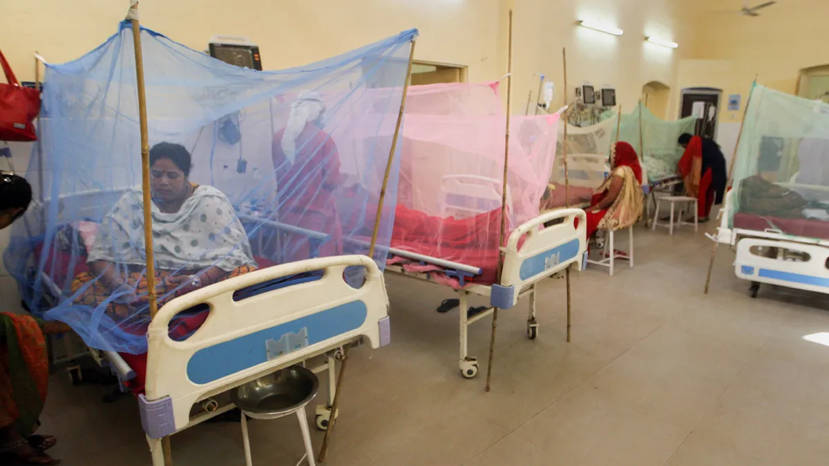 Dengue Patients- India TV Hindi