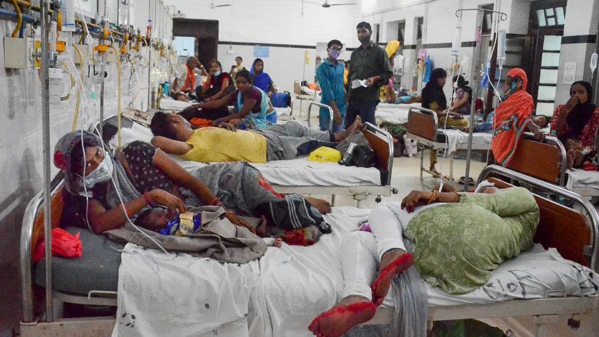 राजस्थान में डेंगू के नए वेरिएंट का कहर, 13 हजार से ज्यादा मरीज, 50 की मौत- India TV Hindi