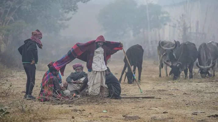 राजस्थान में सर्दी ने...- India TV Hindi