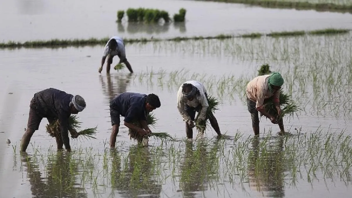राष्ट्रीय किसान दिवस...- India TV Hindi