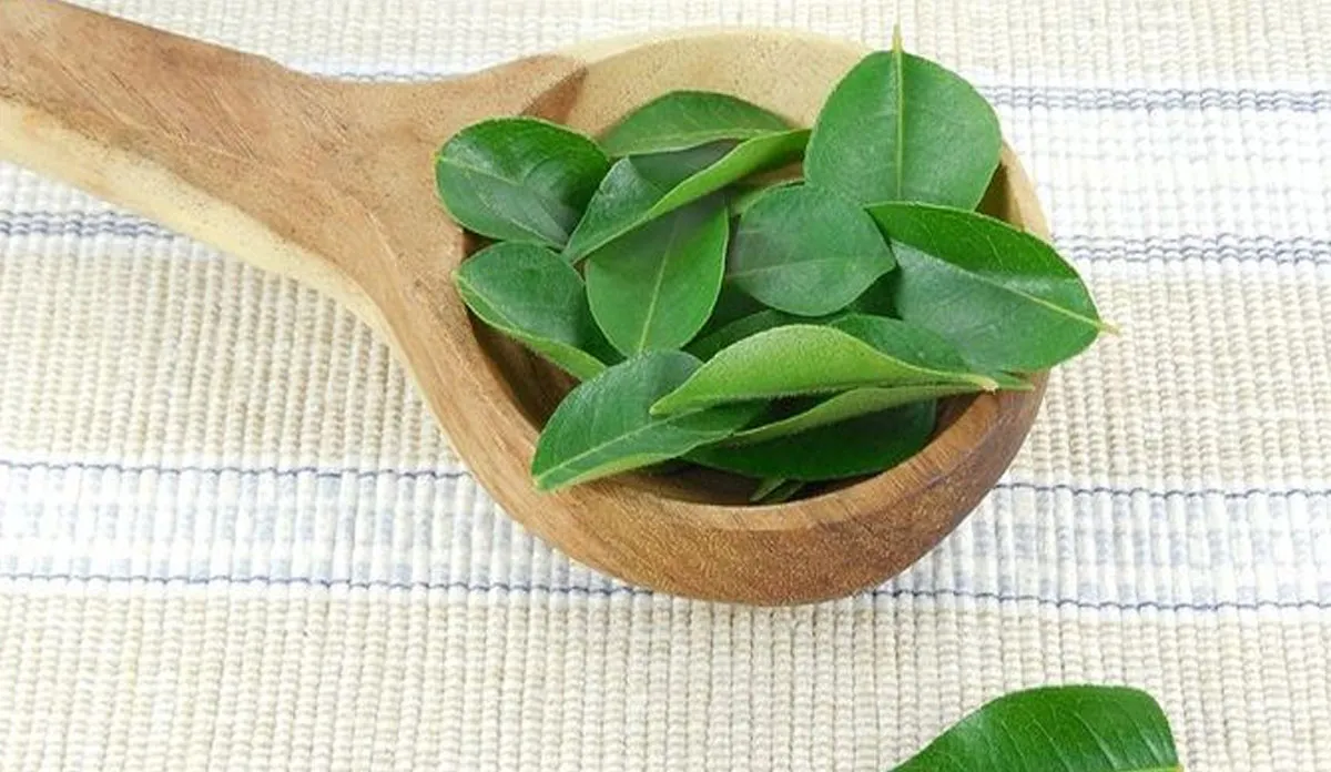 how to consume curry leaves to control blood sugar and boost insulin- India TV Hindi