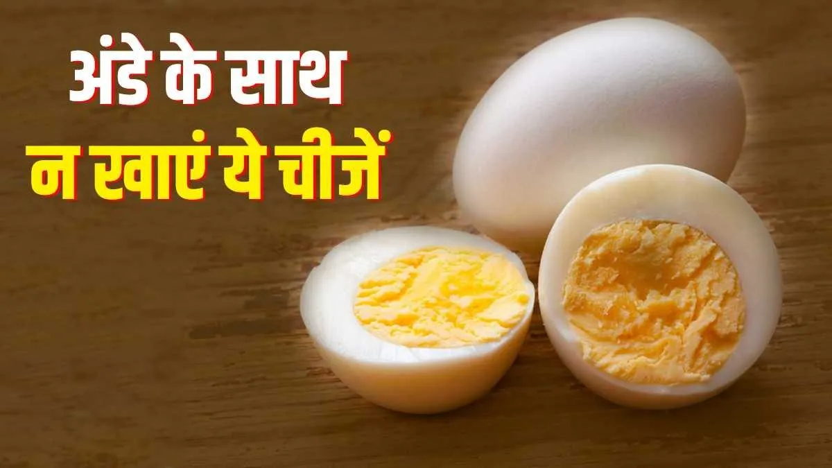 egg- India TV Hindi