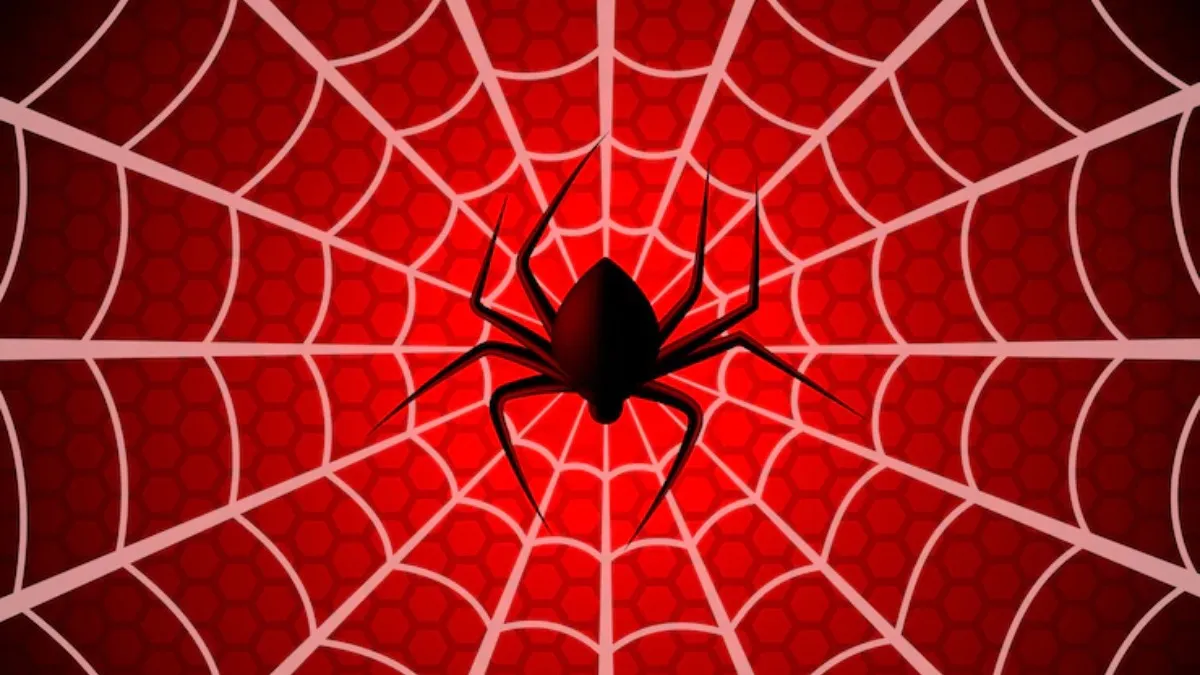 Spider Webs- India TV Hindi