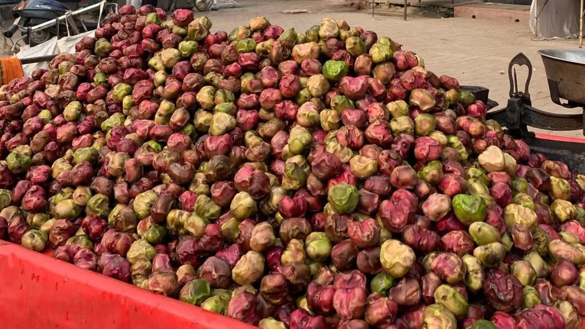 Water Chestnuts- India TV Hindi