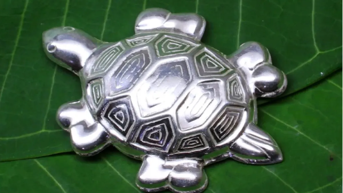 Silver Turtle- India TV Hindi