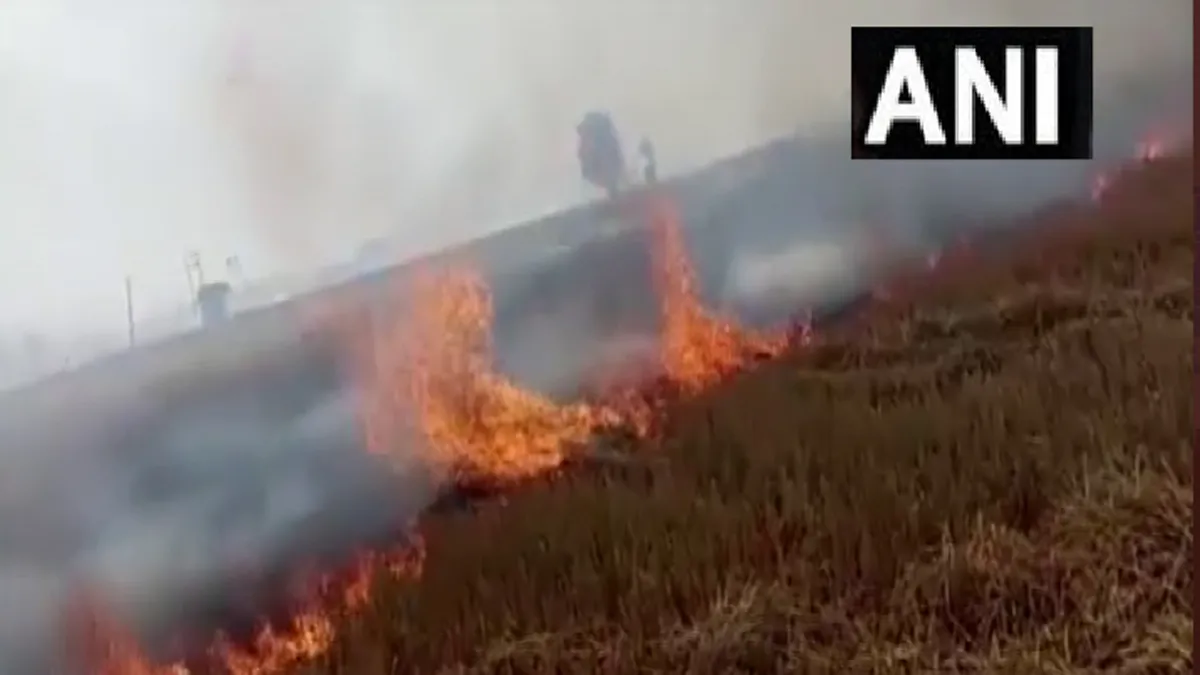 200 एकड़ से अधिक गेहूं की फसल जलकर राख- India TV Hindi