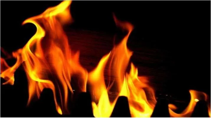निगीन झील में आग लगने से सात 'हाउसबोट' जलकर खाक - India TV Hindi