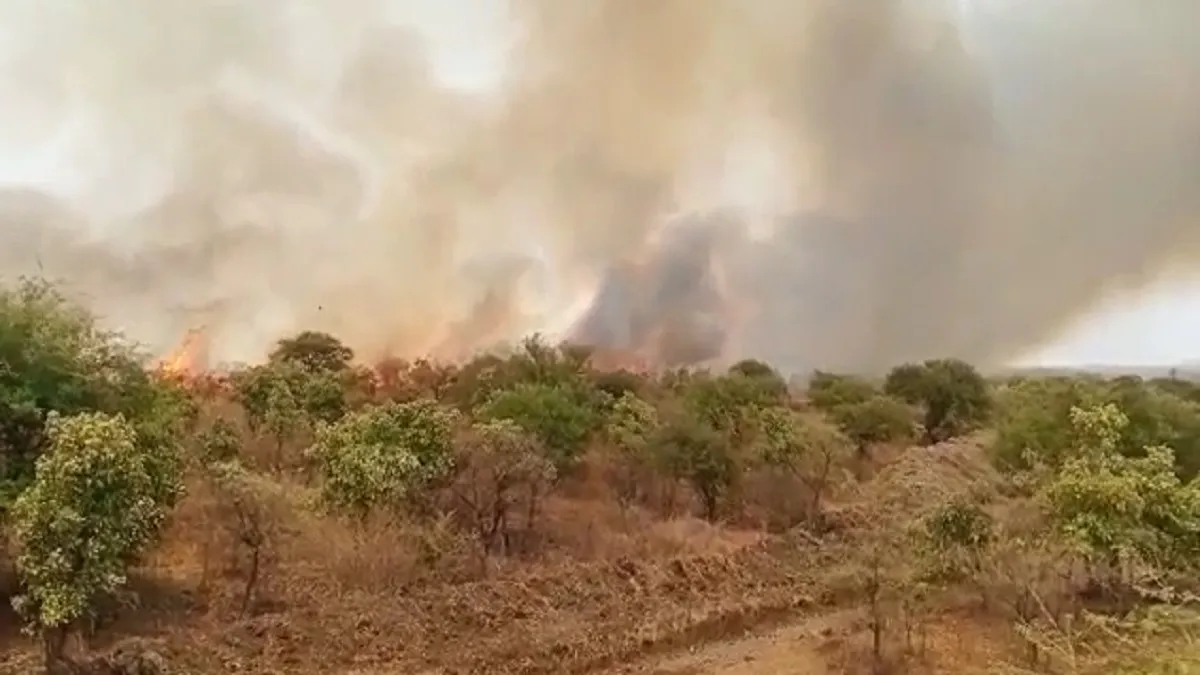 नागपुर में गोरेवाड़ा के जंगल लगी आग- India TV Hindi
