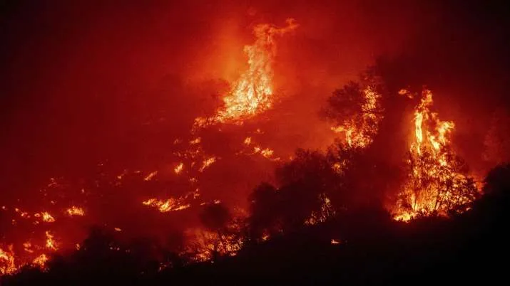  भारत के जंगलों में लगातार क्यों लग रही आग?- India TV Hindi
