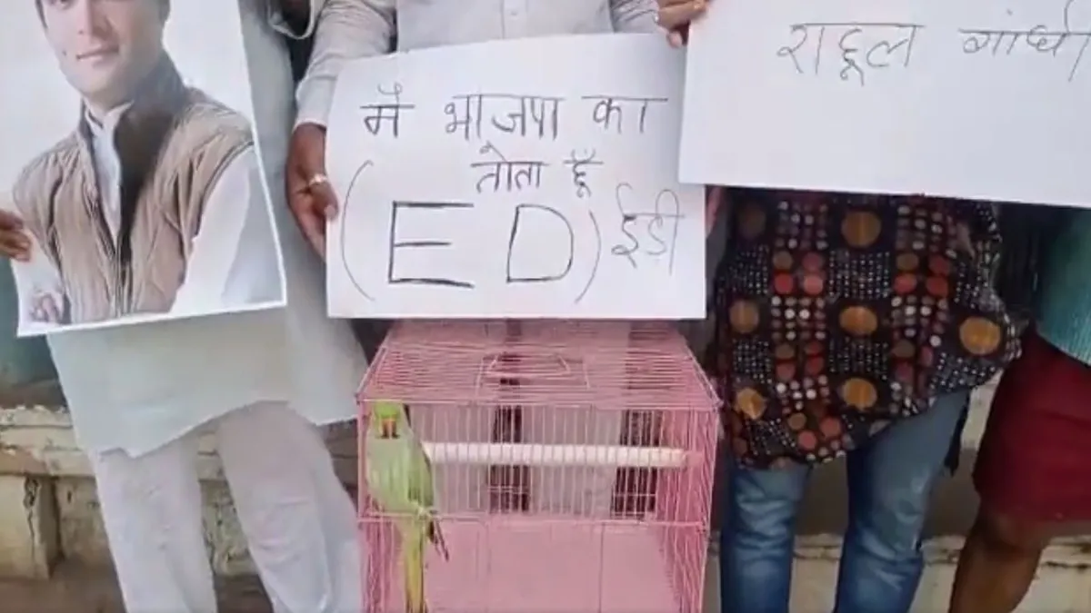 Congress Leaders Protest- India TV Hindi