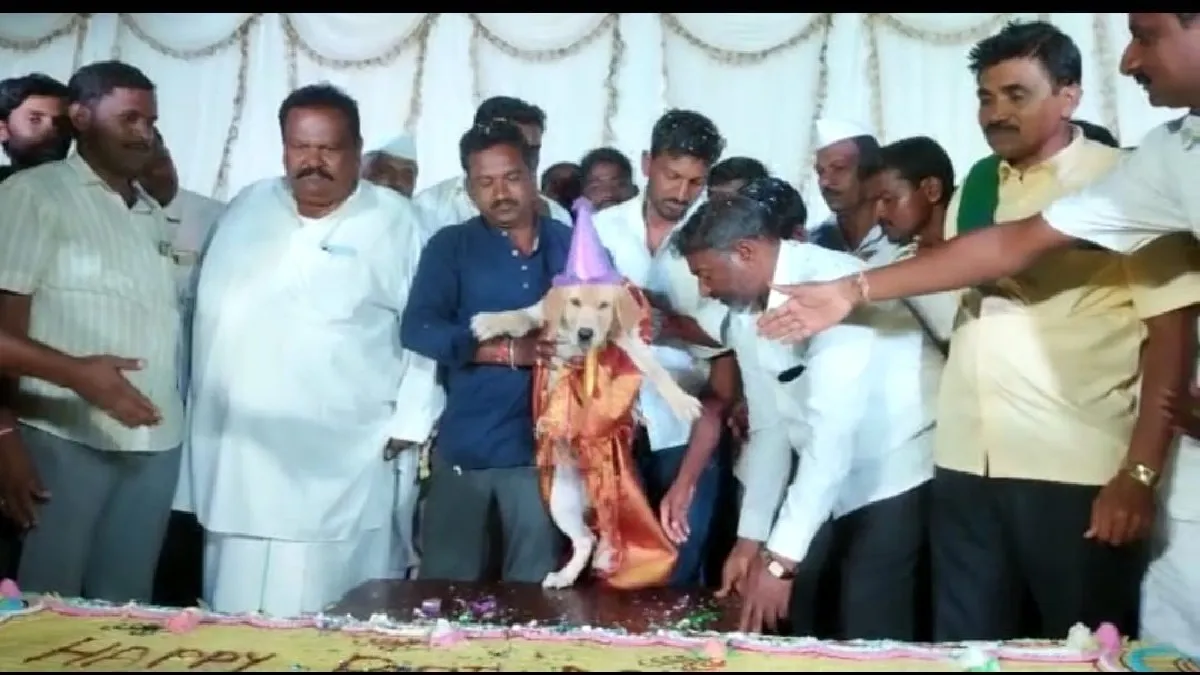 Dog's birthday celebration - India TV Hindi