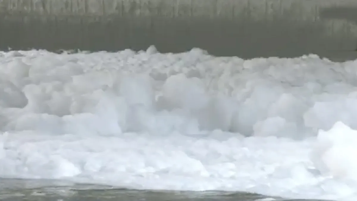 Toxic foam floats on the surface of Yamuna river - India TV Hindi