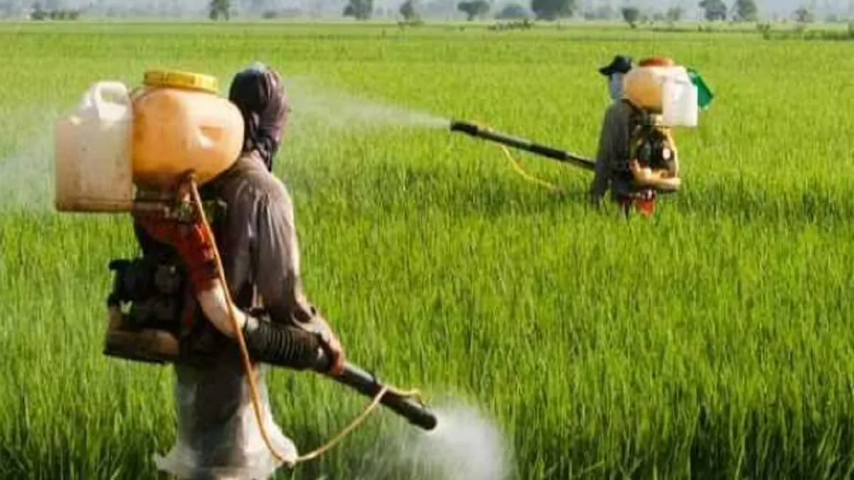 Farmers Spraying Pesticide- India TV Hindi