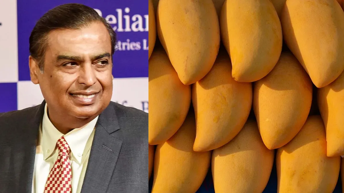 Mukesh Ambani's Mango Business- India TV Paisa