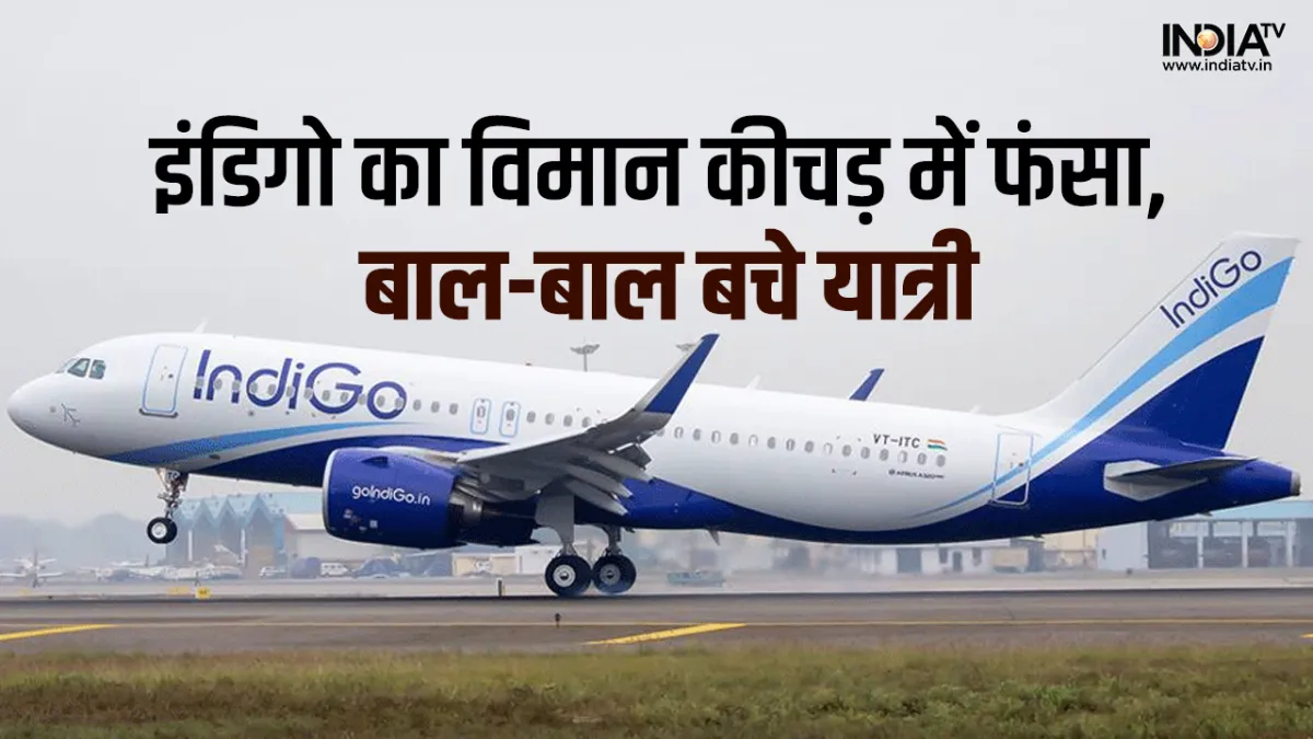 Indigo Airlines- India TV Hindi