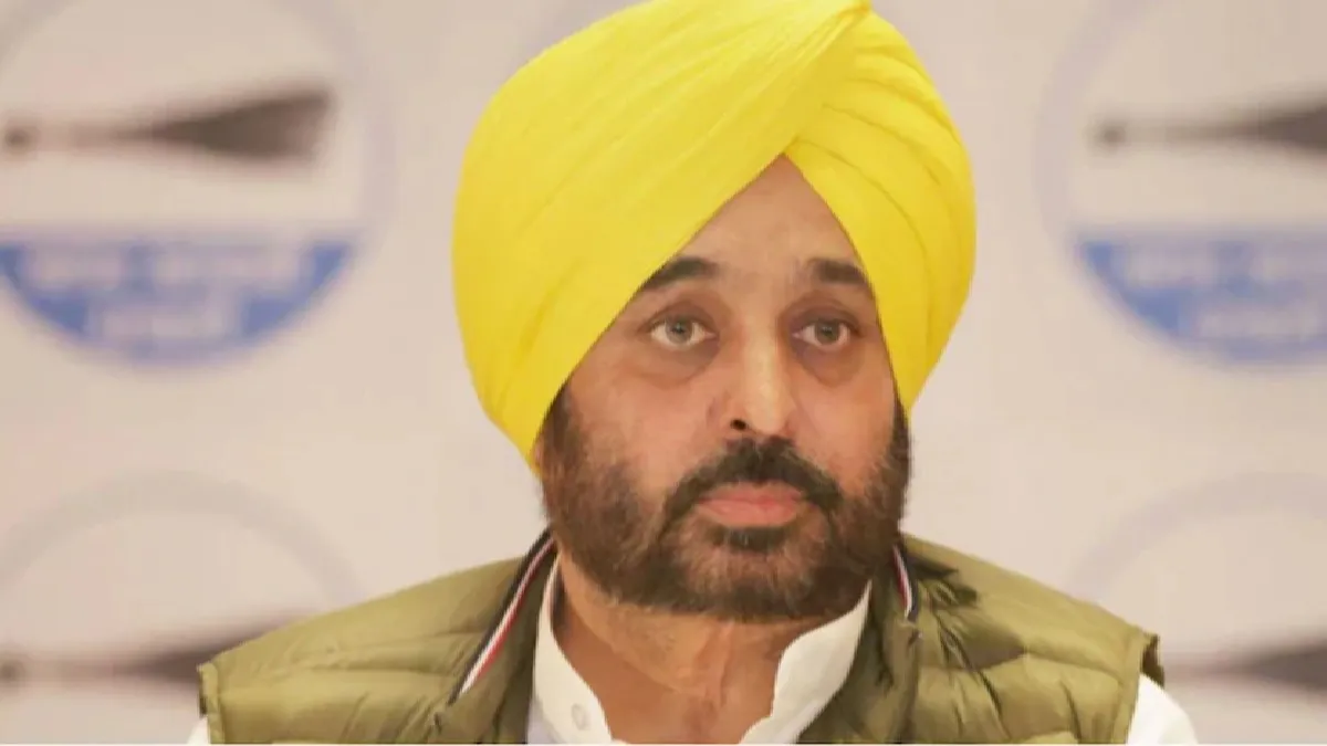 Punjab CM Bhagwant Mann(File Photo)- India TV Hindi