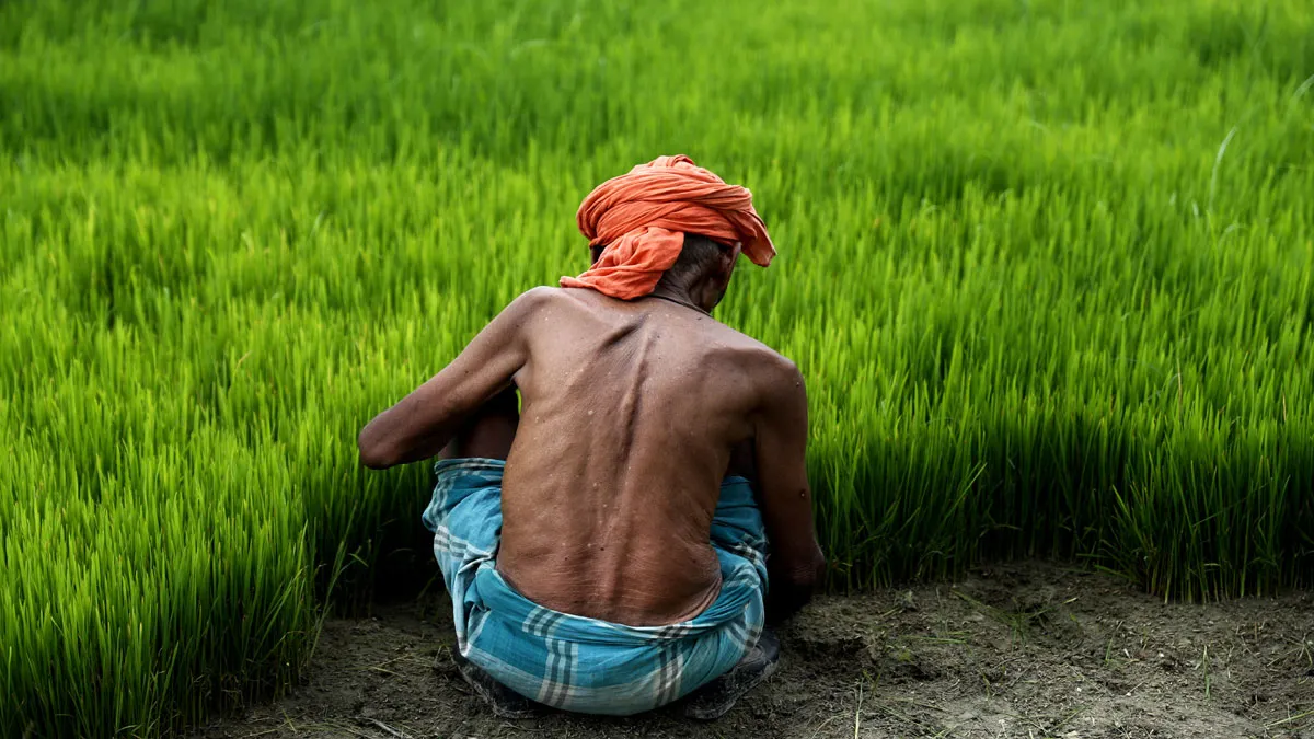 Bihar Farming- India TV Paisa