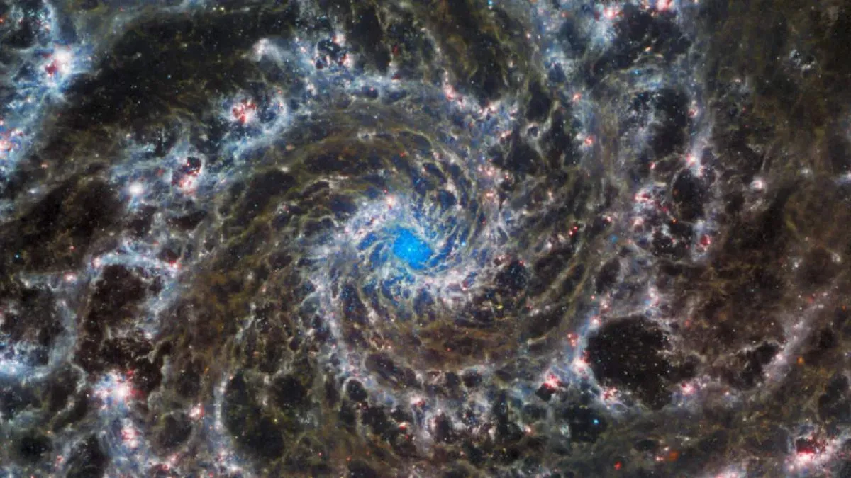 NASA James Webb Telescope-Phantom Galaxy- India TV Hindi