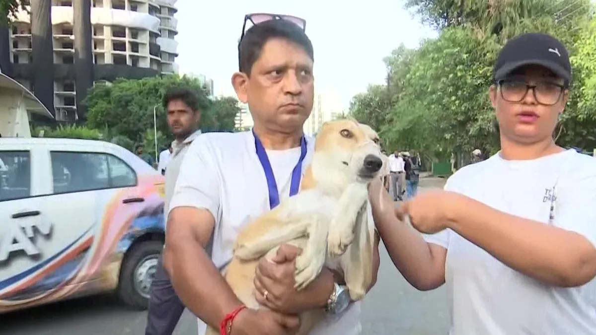 Noida Twin Towers Demolition- India TV Hindi