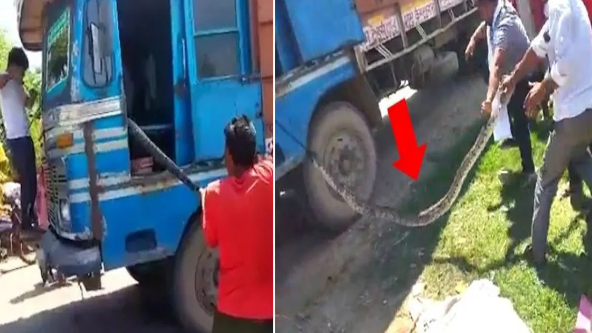 Python In Truck- India TV Hindi