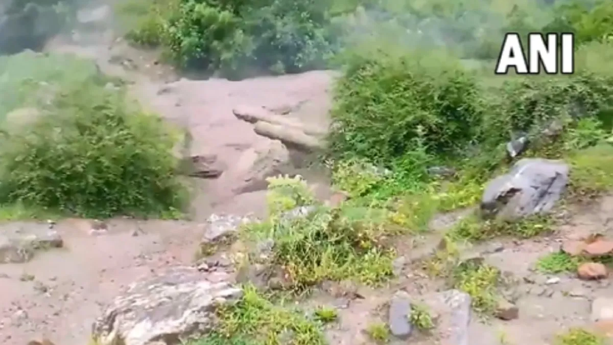 flood in Himachal Pradesh- India TV Hindi
