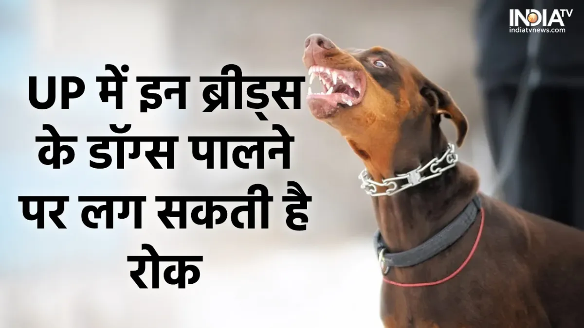 Ban on raising dogs of three breeds- India TV Hindi