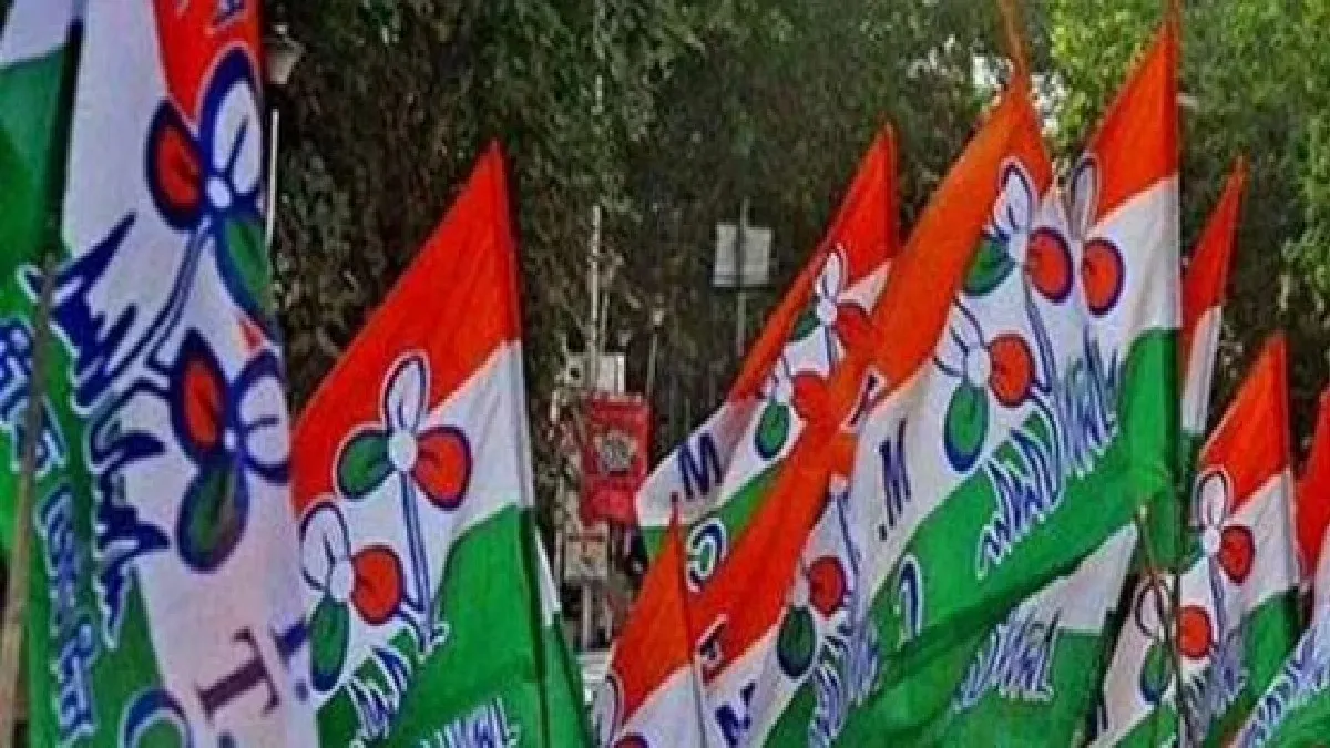 File Photo of TMC Flag (Representational Image)- India TV Hindi