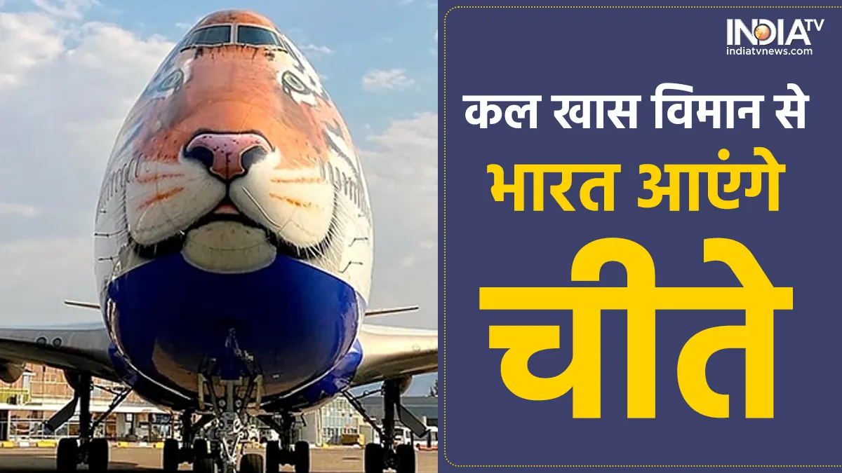 Special Flight from Namibia- India TV Hindi