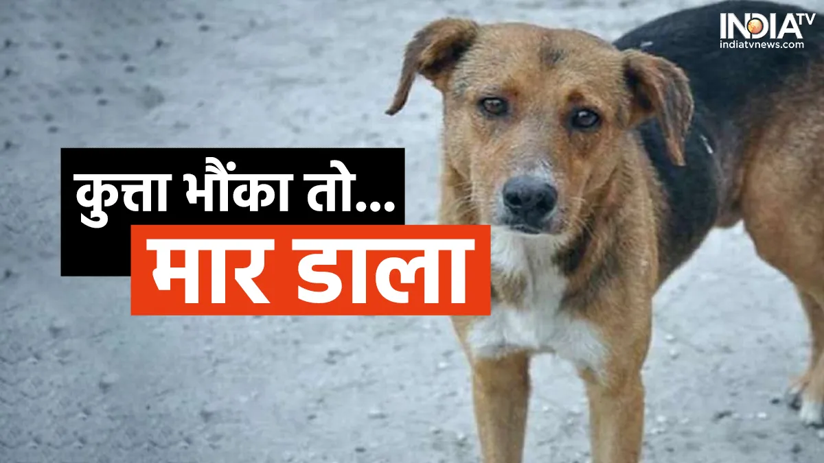 Dog - India TV Hindi