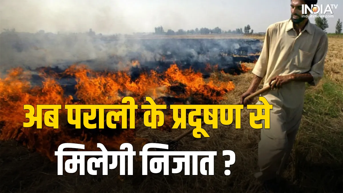 Stubble burning - India TV Hindi