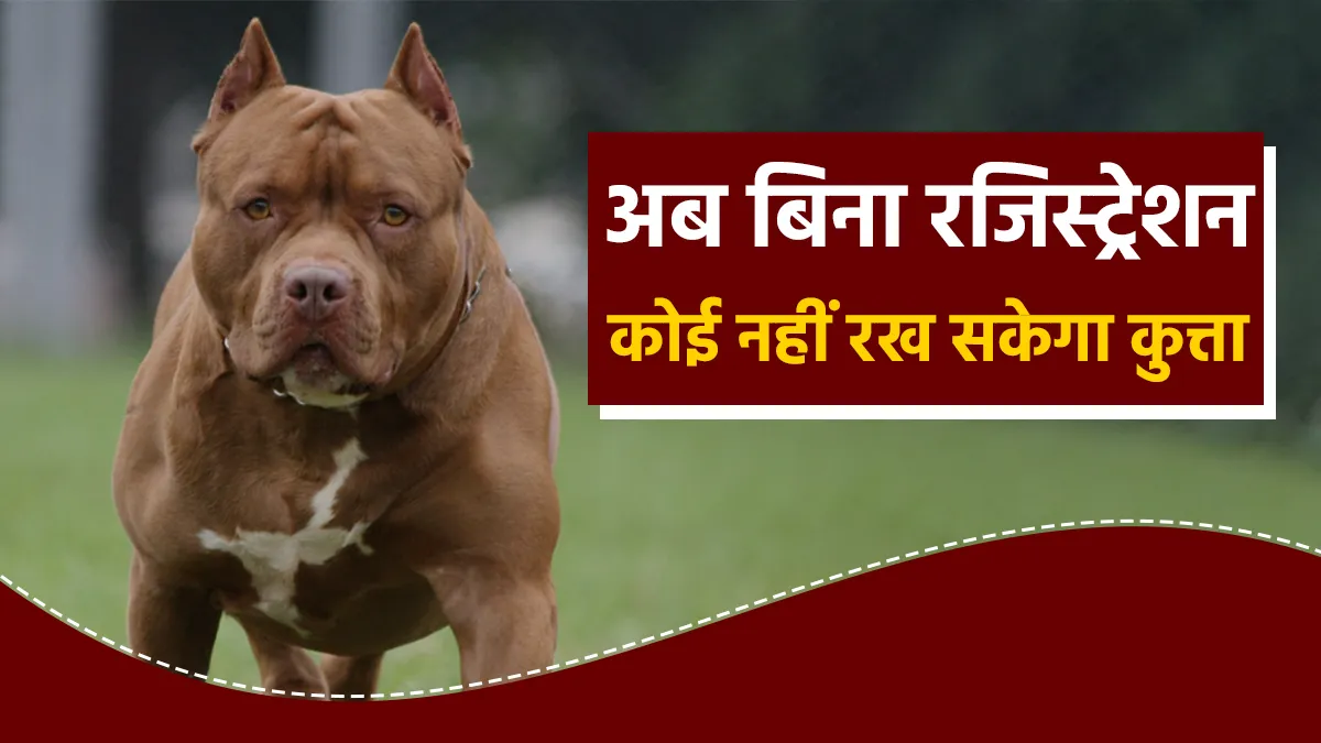 No one will be able to keep a dog in the society without registration- India TV Hindi