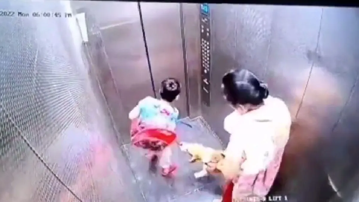 A Dog bites a child in lift- India TV Hindi