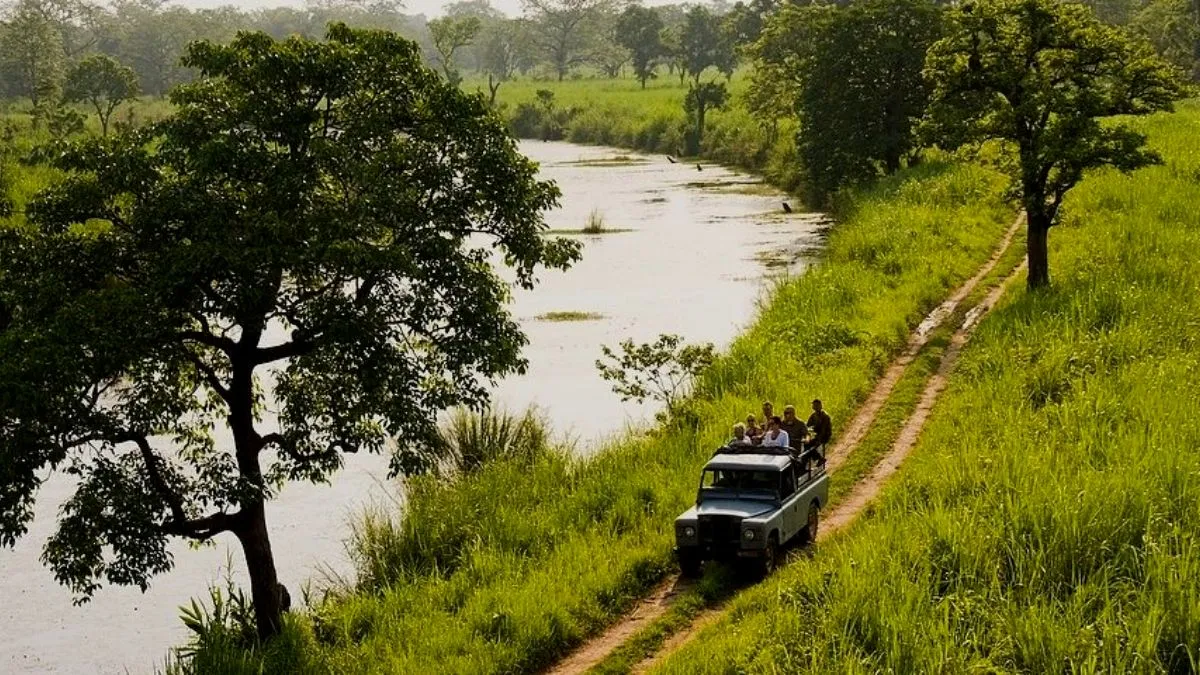 World largest jungle safari (representative image)- India TV Hindi