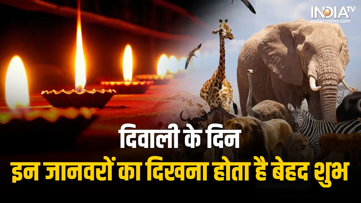 Diwali Vastu Tips: - India TV Hindi