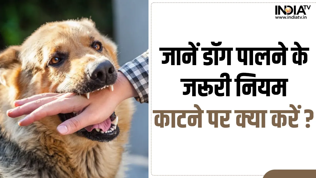 Guidelines for Pet Dogs- India TV Hindi