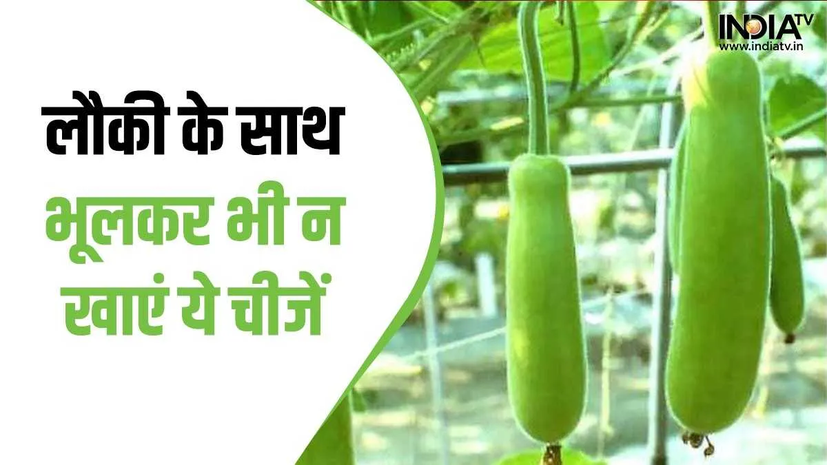 Bottle gourd- India TV Hindi