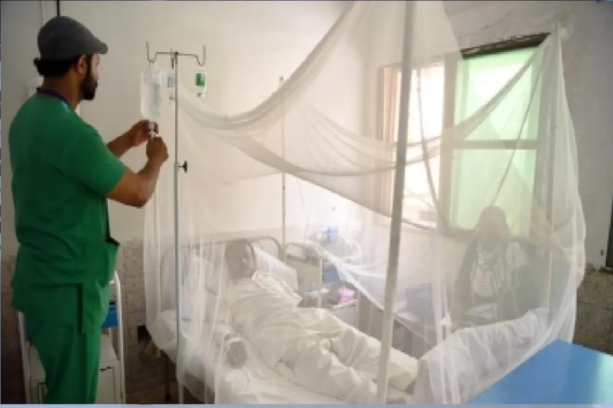mosquito nets - India TV Paisa