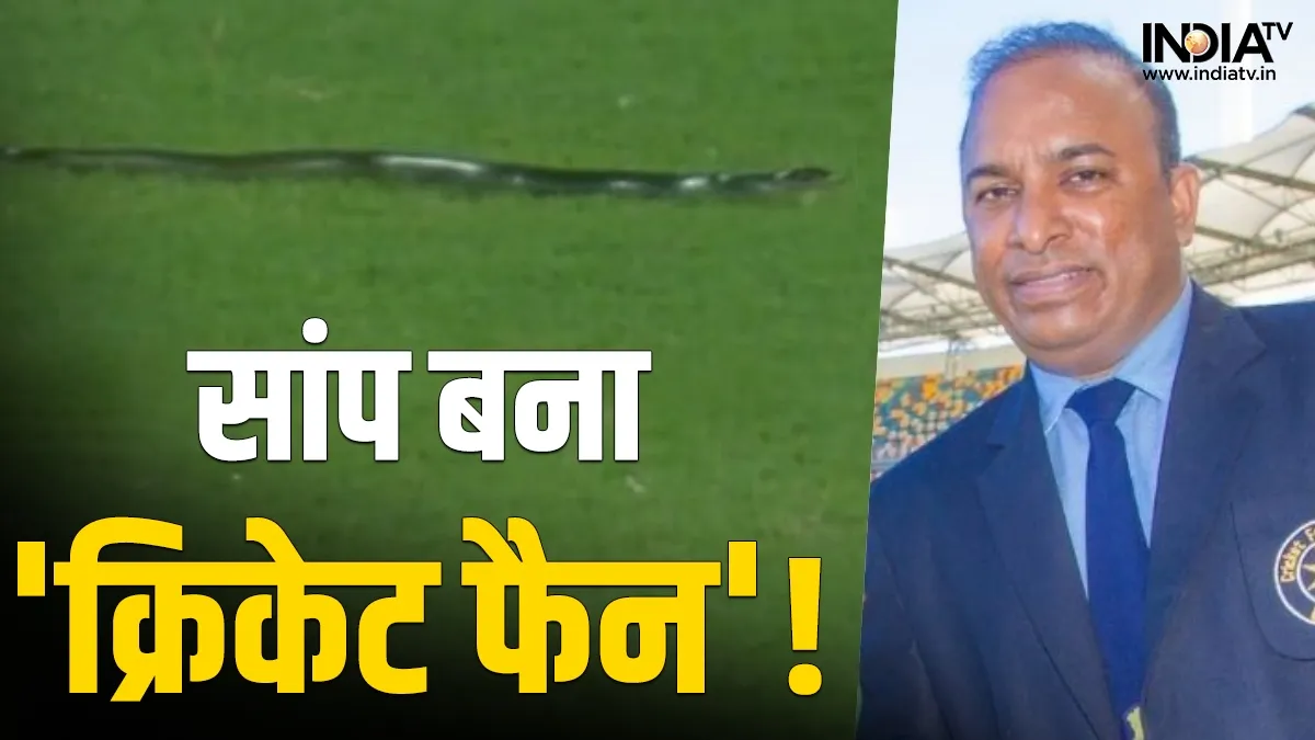 Snake In IND vs SA 2nd T20I- India TV Hindi