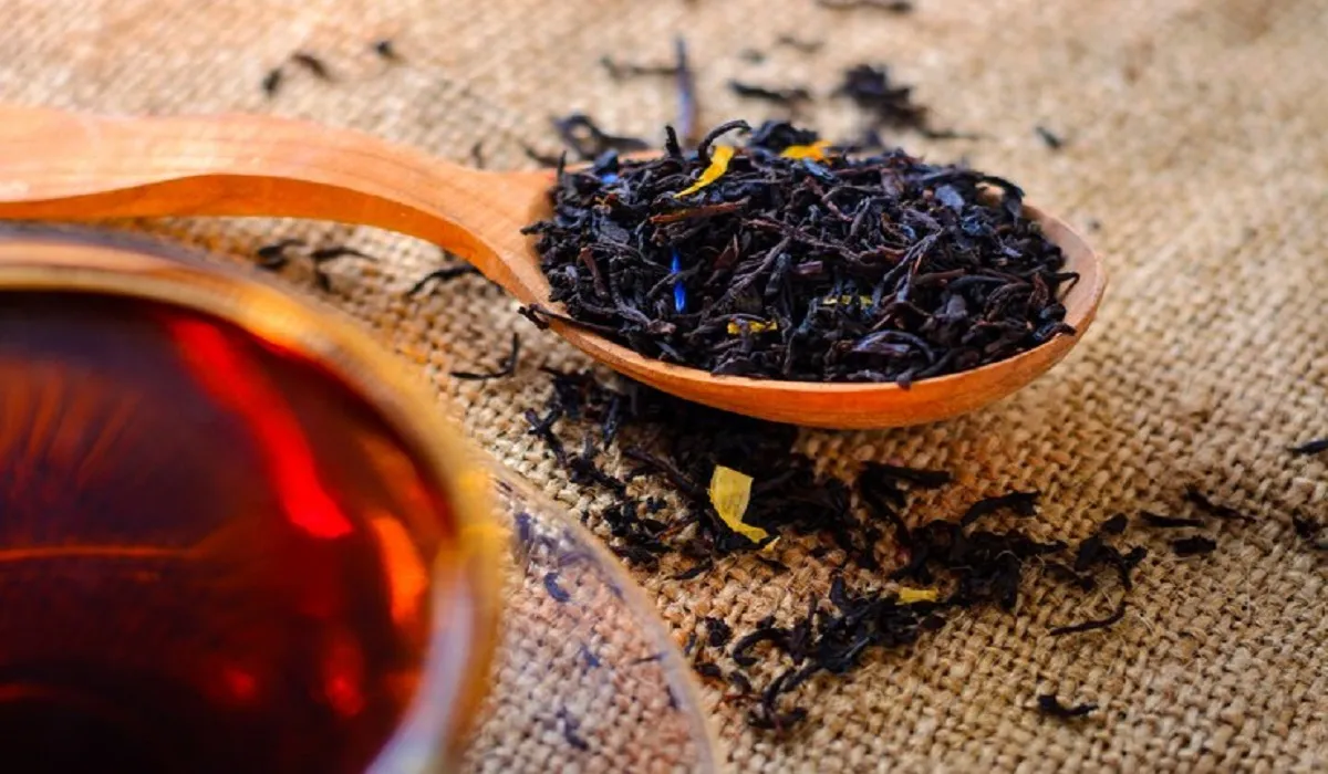Benefits of Used Tea Leaves- India TV Hindi