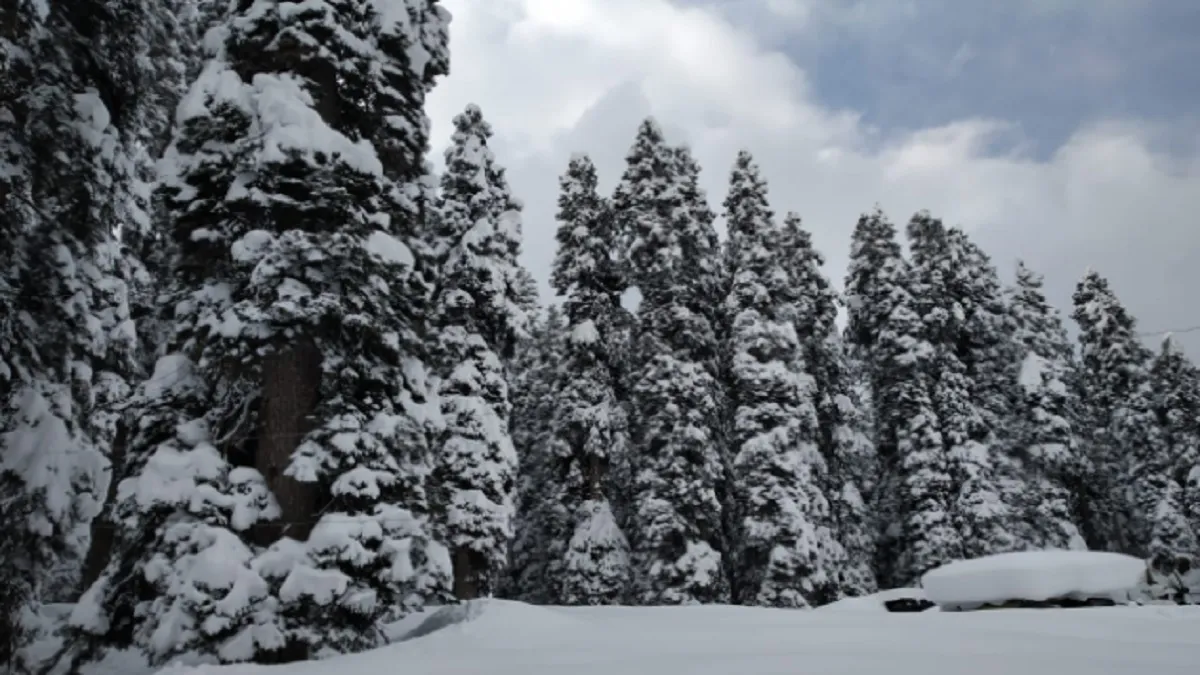 कश्मीर के पहाड़ी इलाकों में बर्फबारी - India TV Hindi