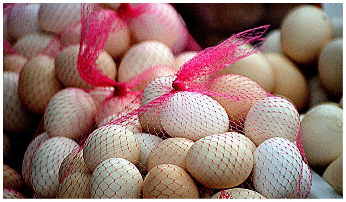 कैसे करें असली और नकली अंडे की पहचान?- India TV Hindi