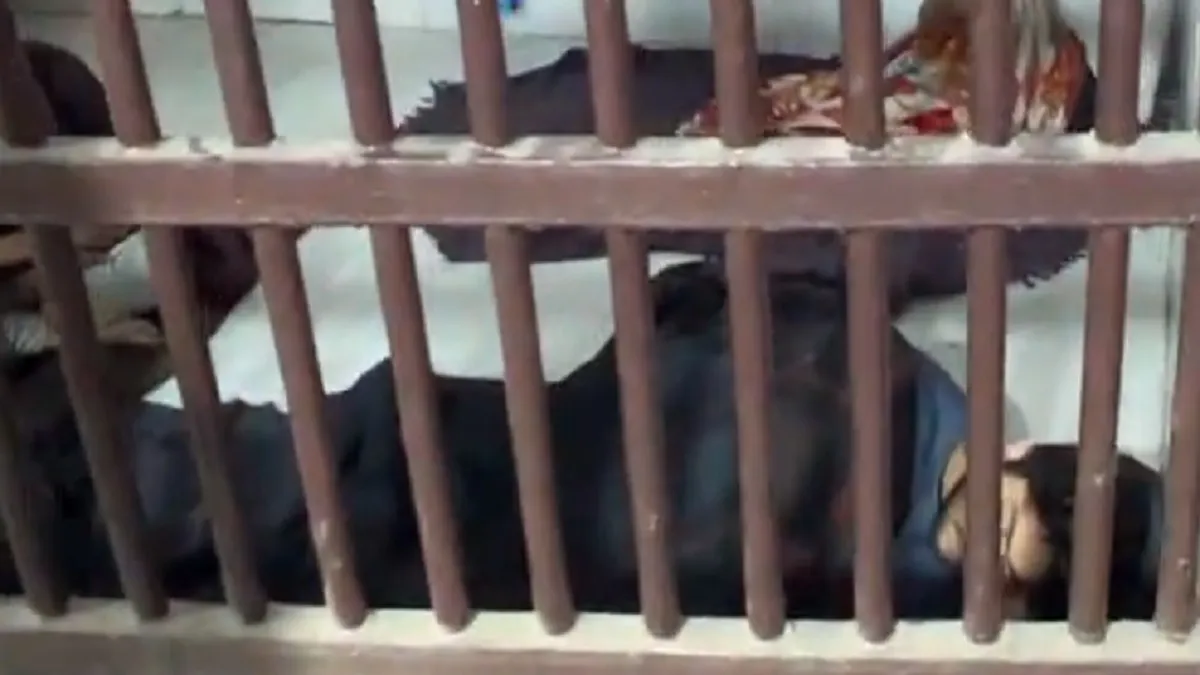  जेल में चैन की नींद सोता दिखा 'हत्यारा' आफताब    - India TV Hindi