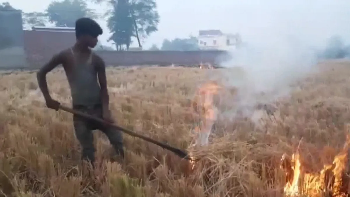 पटियाला में पराली जलाता किसान- India TV Hindi