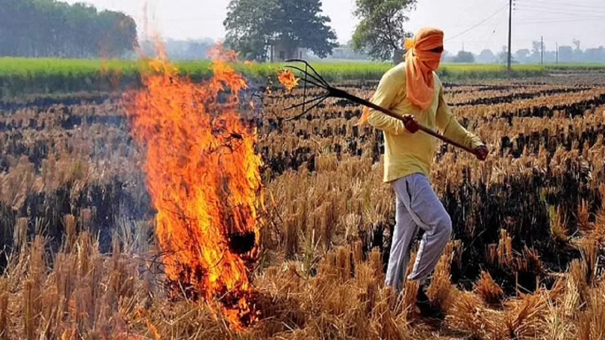 Punjab stubble burning, Delhi-NCR AQI, Delhi AQI, Delhi AQI Today, Delhi AQI Updates- India TV Hindi