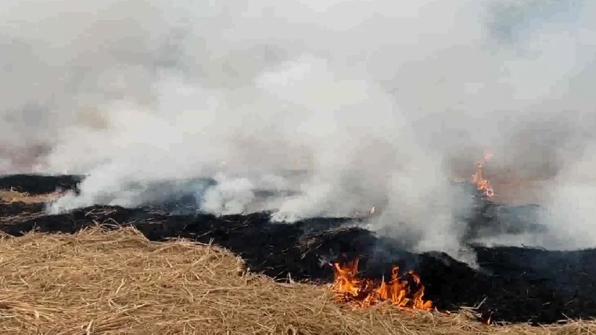 पंजाब के बठिंडा में किसान जला रहे पराली- India TV Hindi