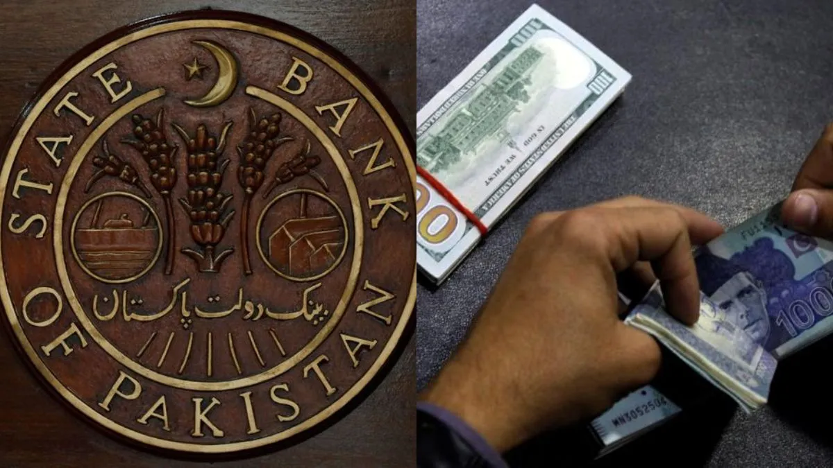 पाकिस्तान सरकार को वहां की केंद्रीय बैंक ने लगाई फटकार- India TV Paisa