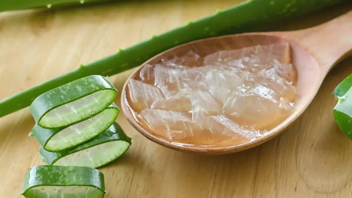  diseases in which you can use aloe vera in hindi- India TV Hindi