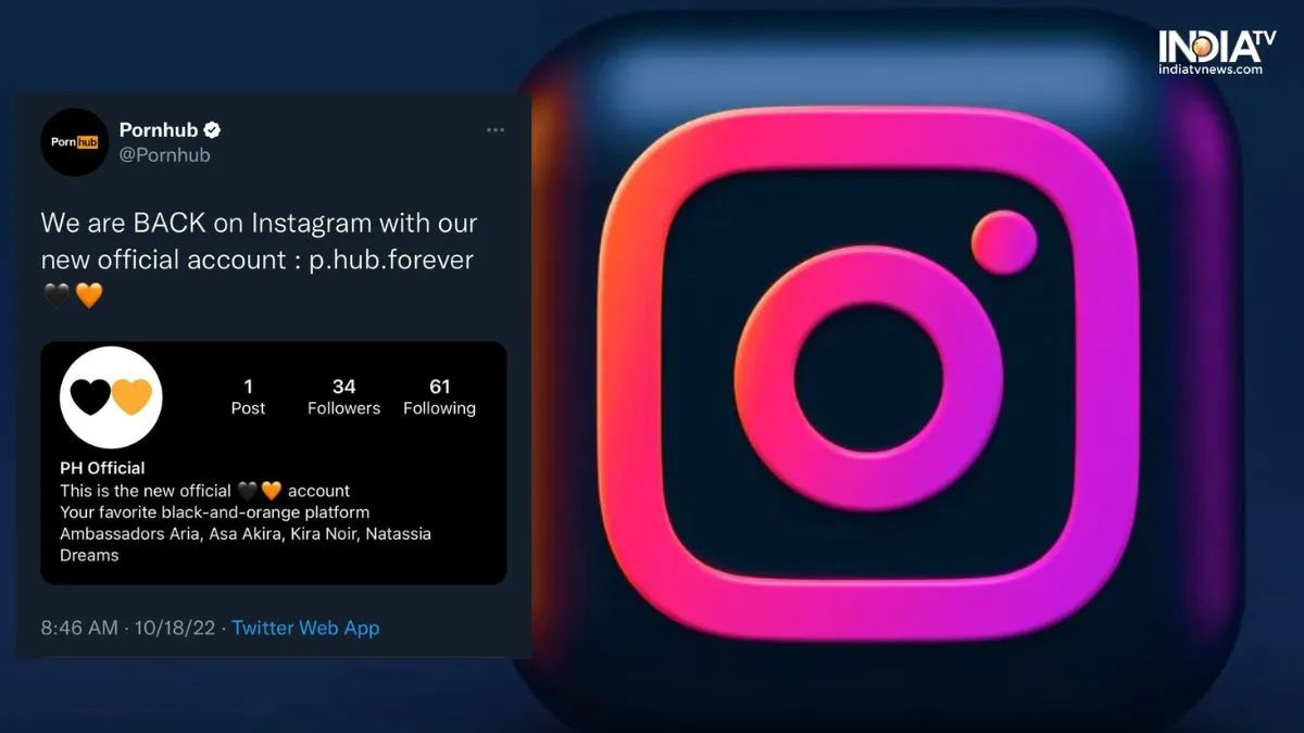 Instagram Pornhub Account- India TV Paisa