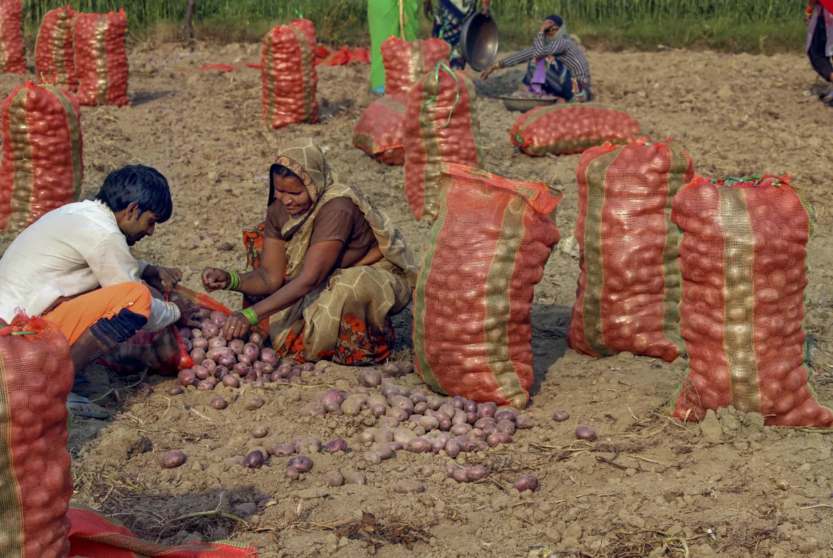 प्याज किसान- India TV Paisa